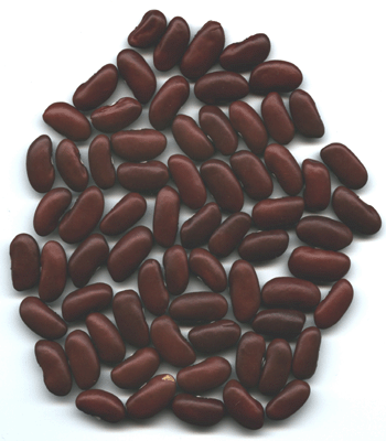 Dark Red Kidney