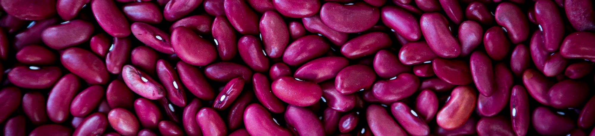 kidney beans